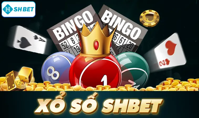Nhà Cái SHBet - Nhà Cái Cá Cược Online Uy Tín Nhất 2026