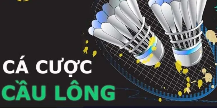 Chinh Phục Kèo Cược Cầu Lông SHBet Với Chiến Thuật Chuyên Gia