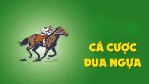 Giải Mã Kèo Cá Cược Đua Ngựa SHBet Và Cách Bắt Kèo Chuẩn