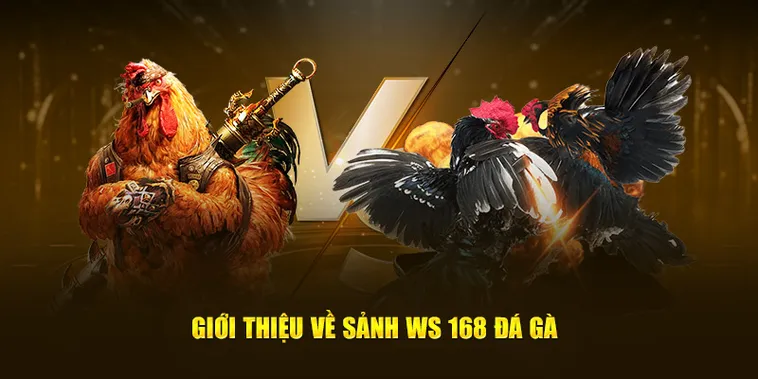 Kinh Nghiệm Chơi Đá Gà WS168 Tại SHBet Từ Các Sư Kê Lão Làng
