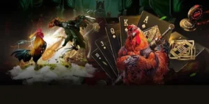 Hướng Dẫn Cách Chơi Đá Gà GA28 Tại SHBet Chi Tiết Cho Tân Binh